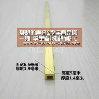 开云体育下载
