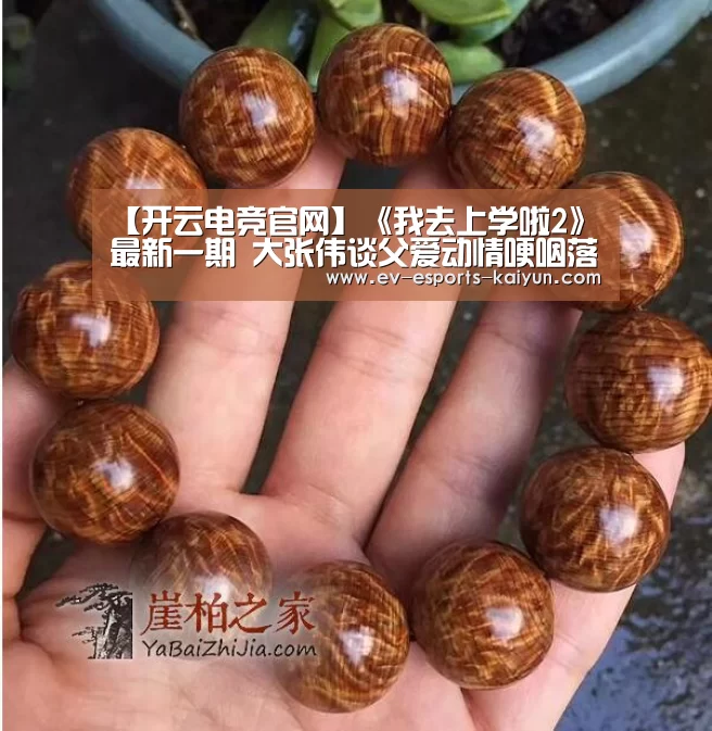 【开云电竞官网】《我去上学啦2》最新一期 大张伟谈父爱动情哽咽落泪(图2) 开云全站下载