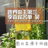 开云电竞官网