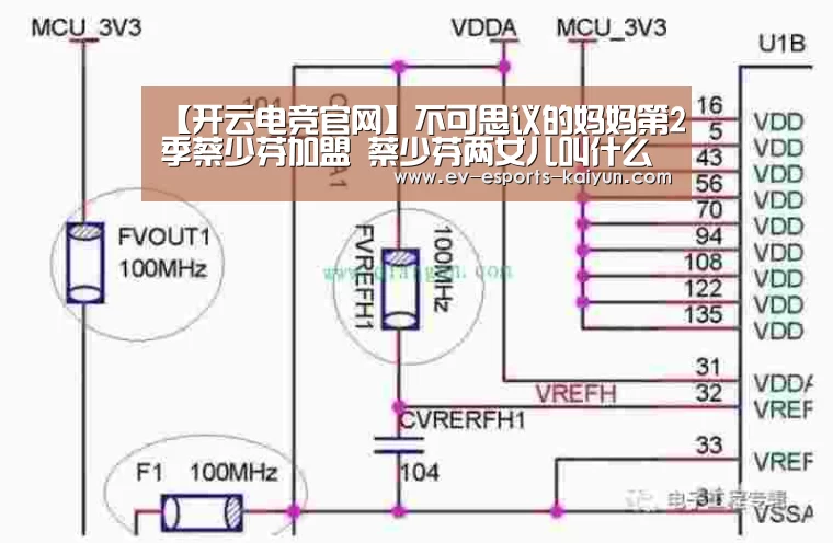 【开云电竞官网】不可思议的妈妈第2季蔡少芬加盟 蔡少芬两女儿叫什么名字(图2) 开云移动端