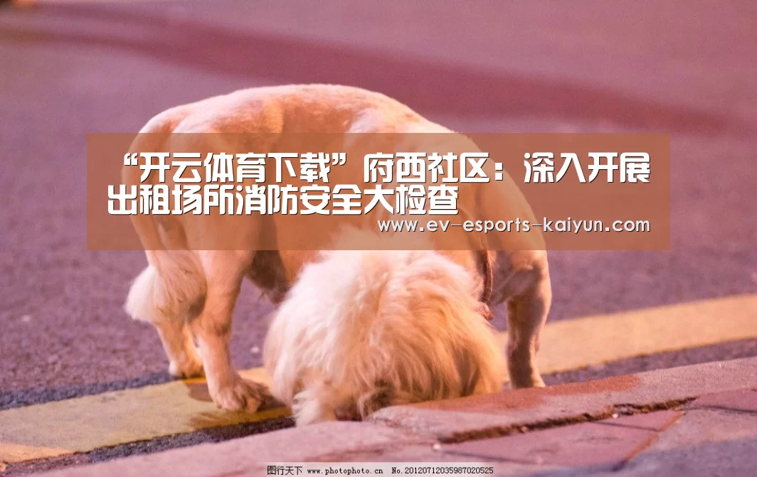 “开云体育下载”府西社区:深入开展出租场所消防安全大检查(图3) 开云体育下载