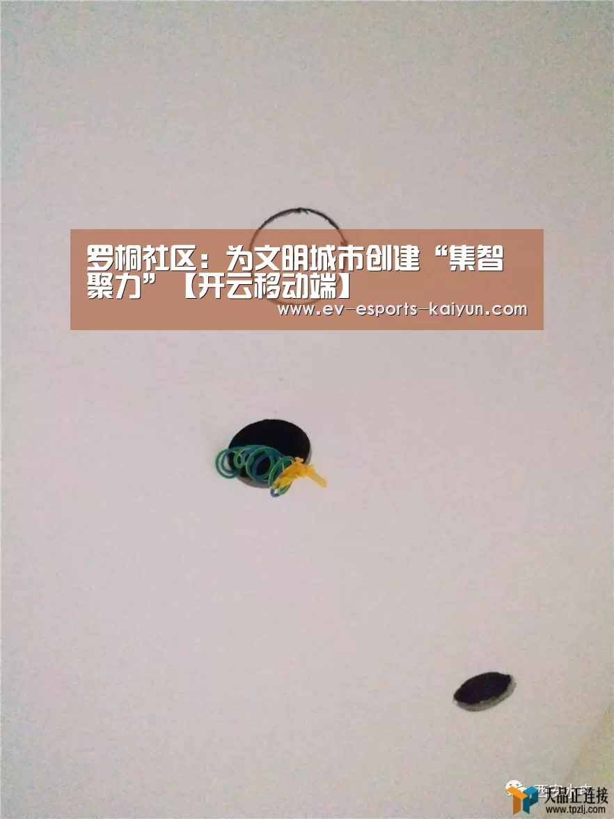 罗桐社区:为文明城市创建“集智聚力”【开云移动端】(图2) 开云电竞官网